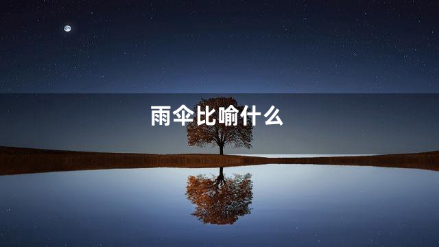 雨伞比喻什么
