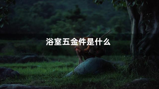 浴室五金件是什么