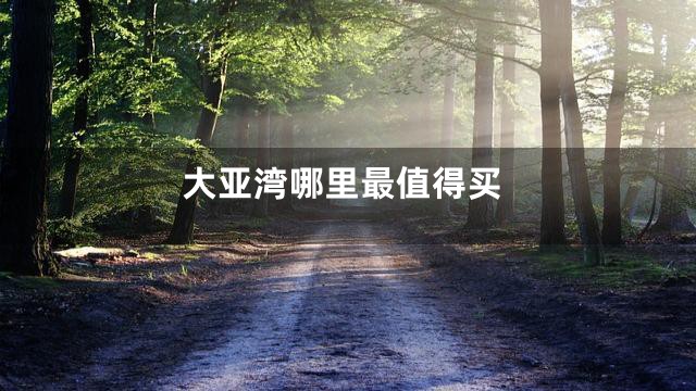 大亚湾哪里最值得买