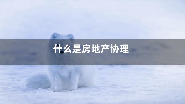 什么是房地产协理