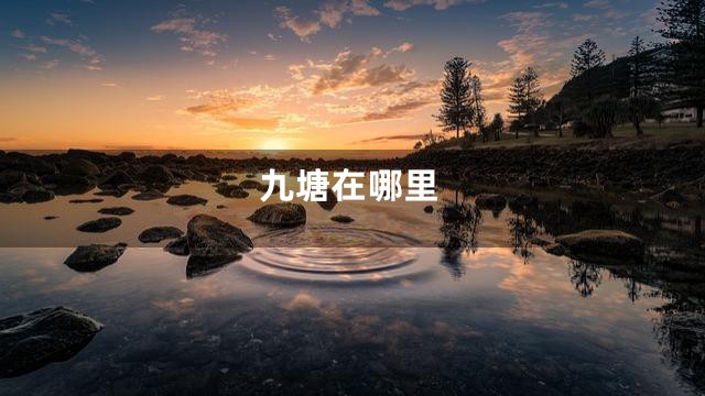 九塘在哪里