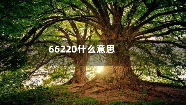 66220什么意思