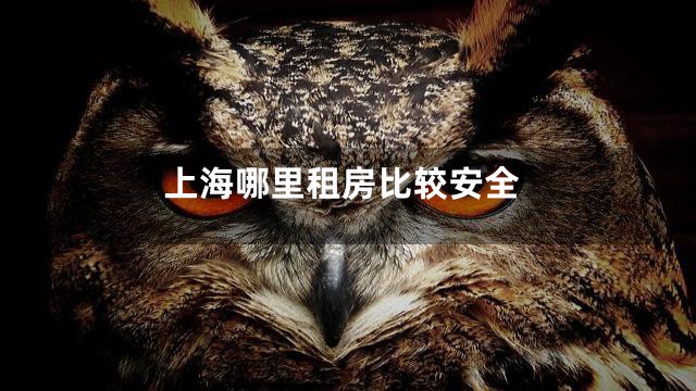上海哪里租房比较安全