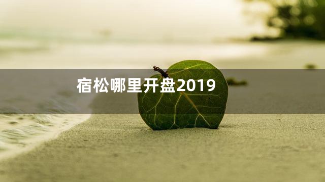 宿松哪里开盘2019