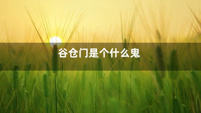 谷仓门是个什么鬼