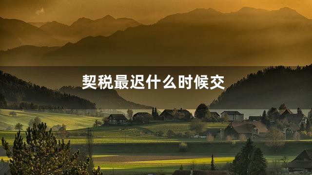 契税最迟什么时候交