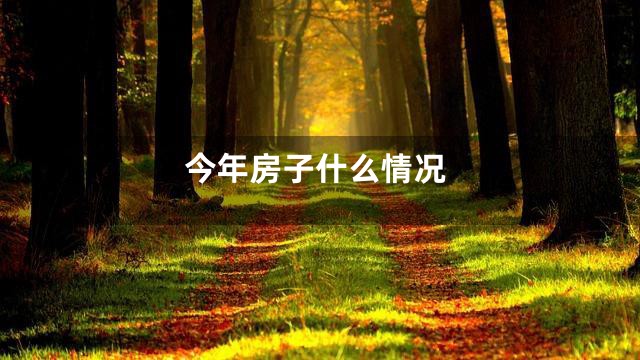今年房子什么情况