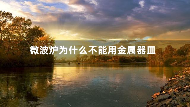 微波炉为什么不能用金属器皿