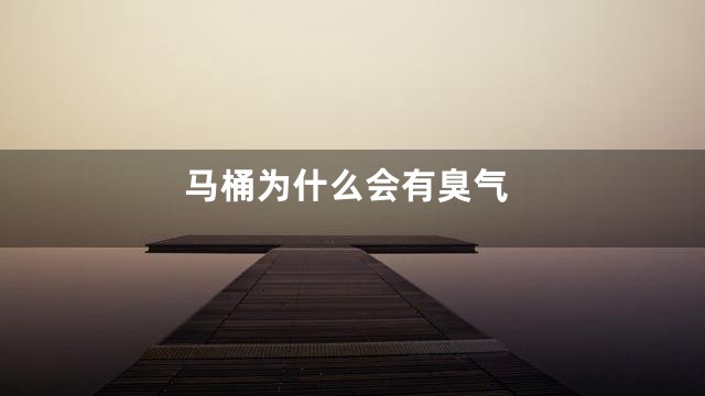 马桶为什么会有臭气