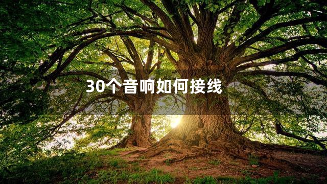 30个音响如何接线