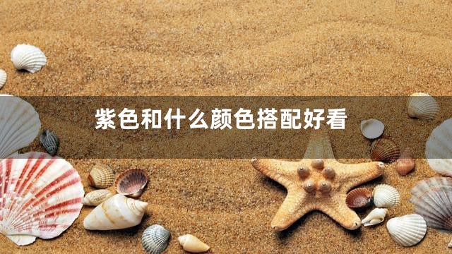 紫色和什么颜色搭配好看