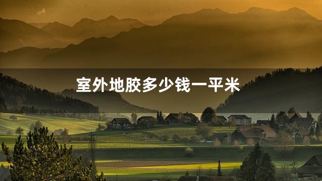 室外地胶多少钱一平米