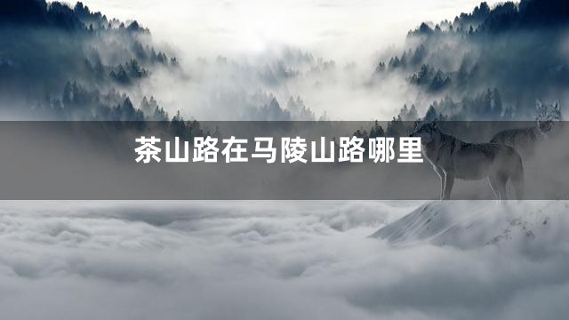 茶山路在马陵山路哪里