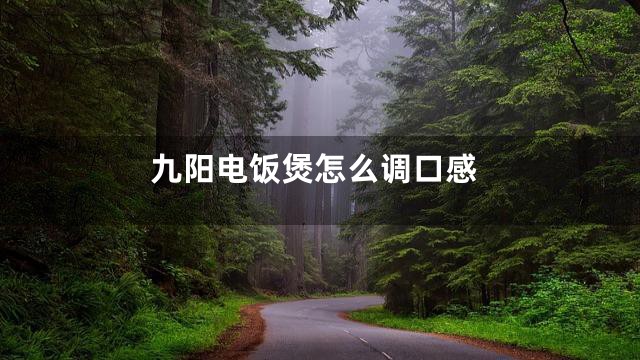 九阳电饭煲怎么调口感