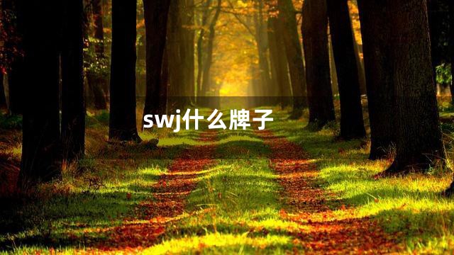 swj什么牌子