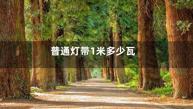 普通灯带1米多少瓦