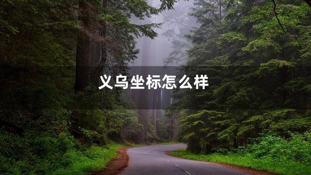 义乌坐标怎么样