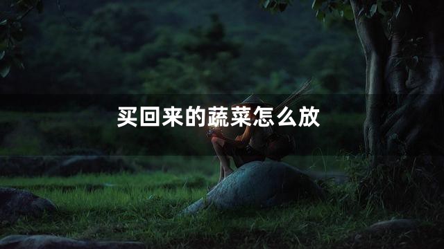 买回来的蔬菜怎么放