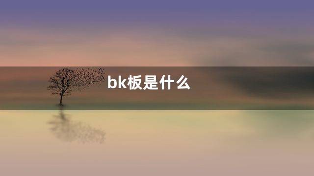 bk板是什么