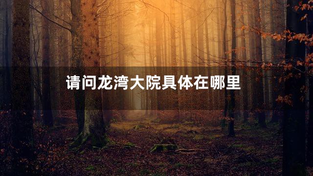请问龙湾大院具体在哪里