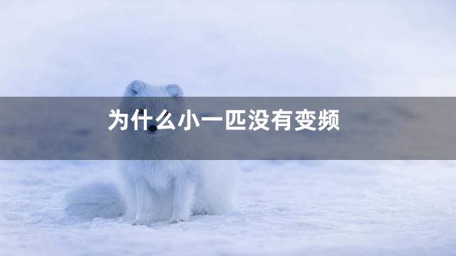 为什么小一匹没有变频