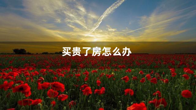 买贵了房怎么办