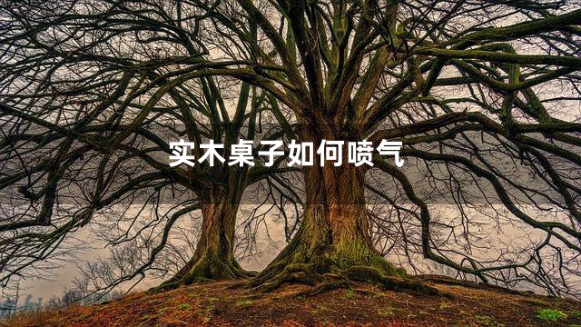 实木桌子如何喷气