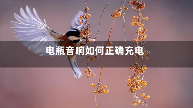 电瓶音响如何正确充电