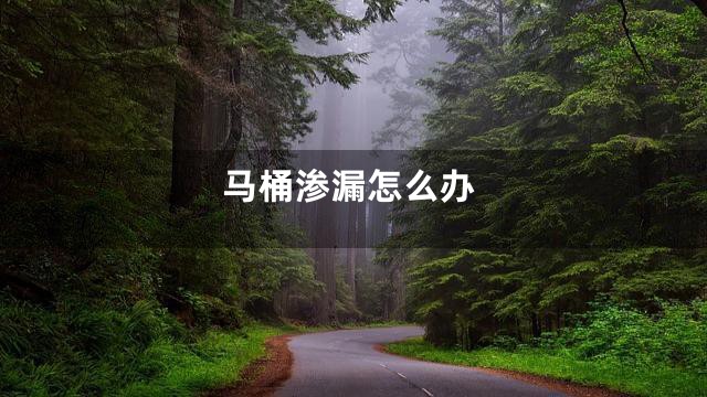 马桶渗漏怎么办