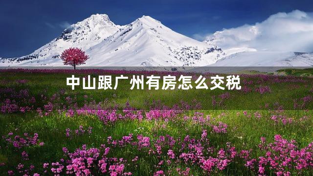 中山跟广州有房怎么交税