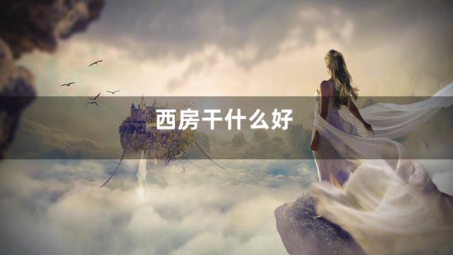 西房干什么好