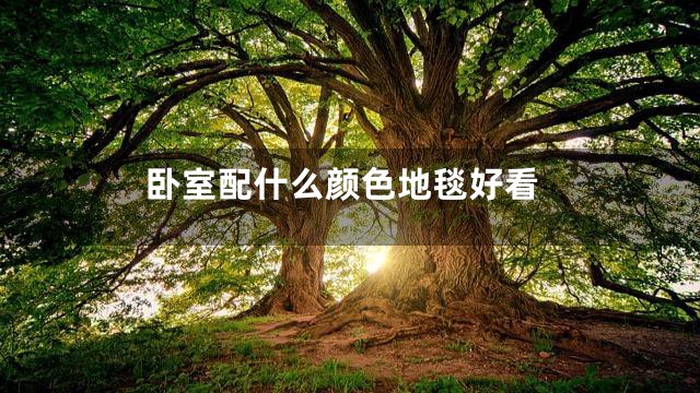 卧室配什么颜色地毯好看