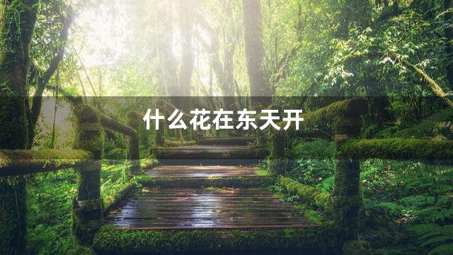 什么花在东天开