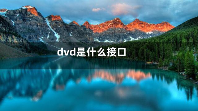 dvd是什么接口