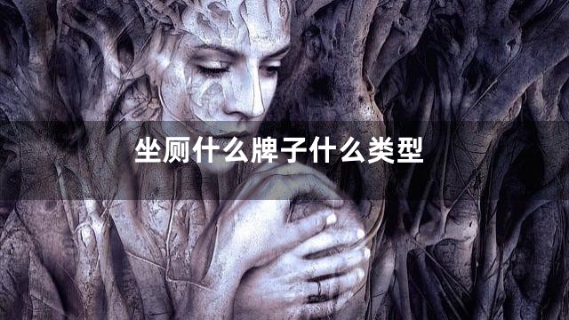 坐厕什么牌子什么类型