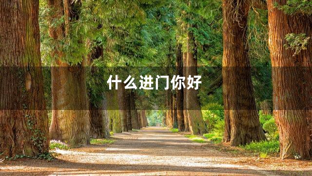 什么进门你好