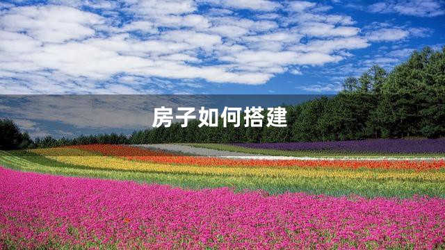 房子如何搭建