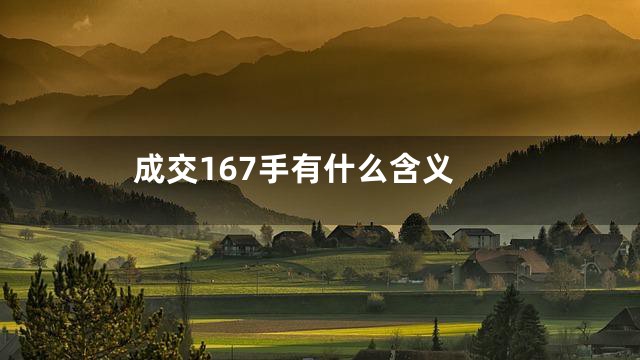成交167手有什么含义