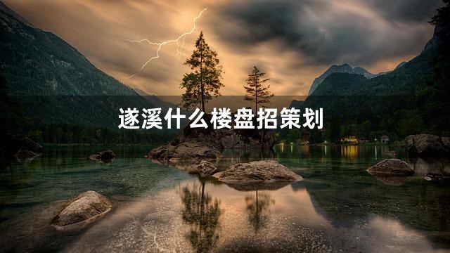 遂溪什么楼盘招策划