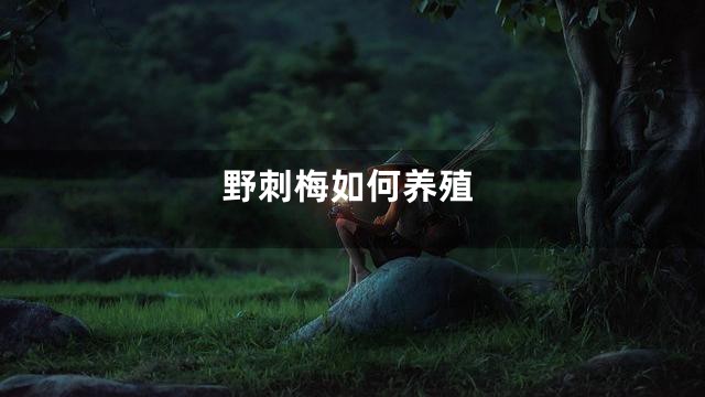 野刺梅如何养殖