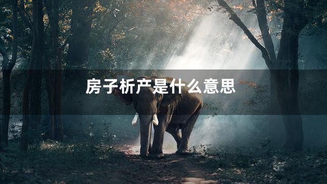 房子析产是什么意思