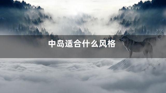 中岛适合什么风格