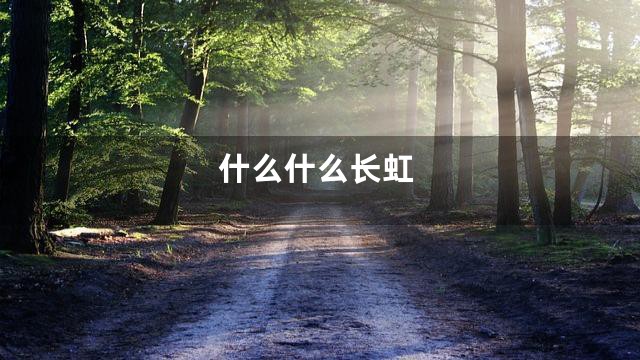 什么什么长虹