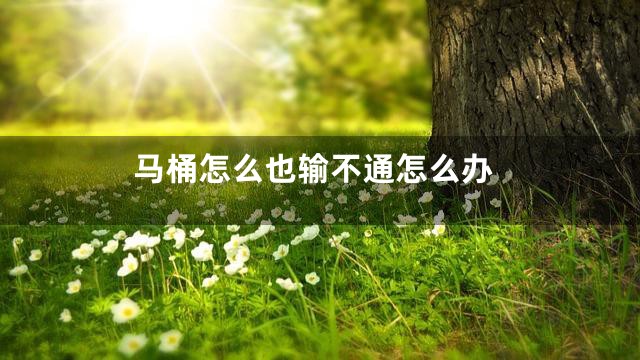 马桶怎么也输不通怎么办