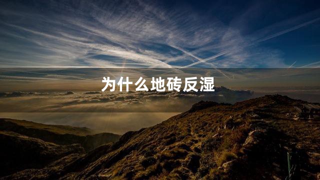 为什么地砖反湿