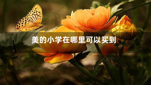 美的小学在哪里可以买到