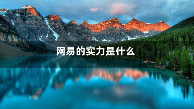 网易的实力是什么