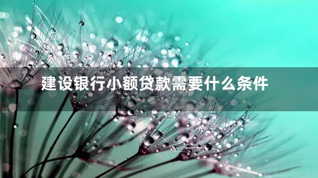 建设银行小额贷款需要什么条件