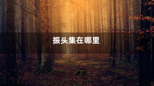 振头集在哪里