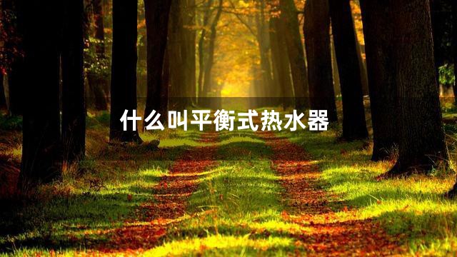 什么叫平衡式热水器